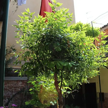 San Giacomo Apartmán